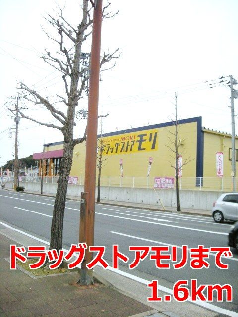 近くのドラッグストアモリまで1,600m（徒歩20分）
