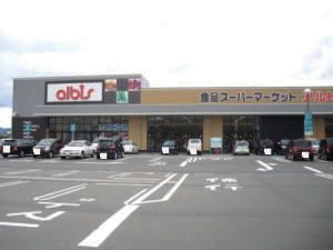 近くのアルビスまで700m(徒歩9分)