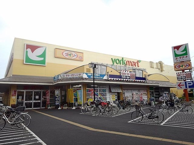 近くのヨークマート越谷赤山店まで1,000m(徒歩13分)