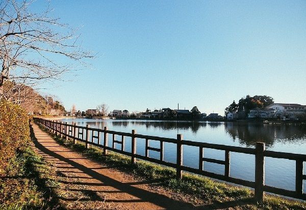 近くの八鶴湖公園まで350m（徒歩5分）