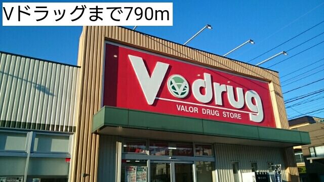 近くのVドラッグまで790m（徒歩10分）