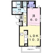 アイランド ヒルズの間取り画像