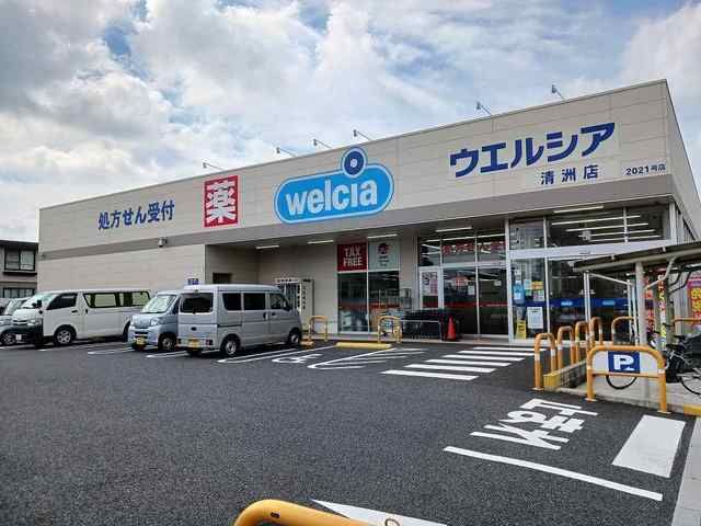 近くのドラッグストアまで280m（徒歩4分）