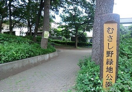 近くのむさし野緑地公園まで900m(徒歩12分)