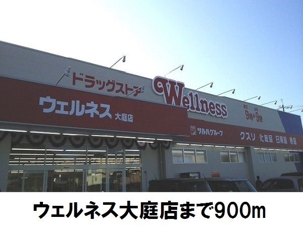 近くのウェルネス大庭店まで900m（徒歩12分）