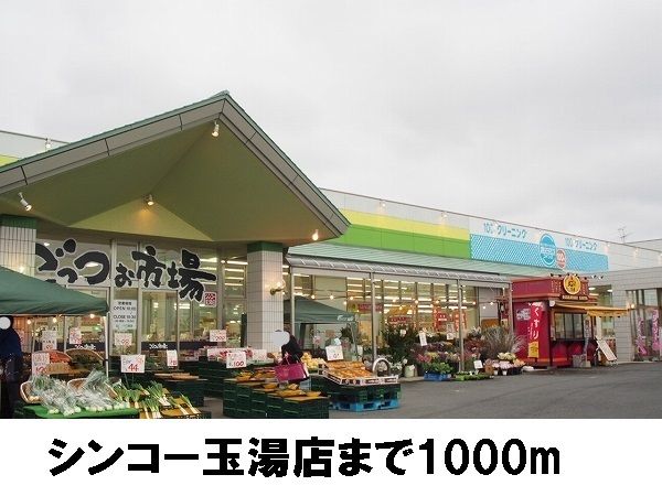 近くのシンコーまで1,000m(徒歩13分)