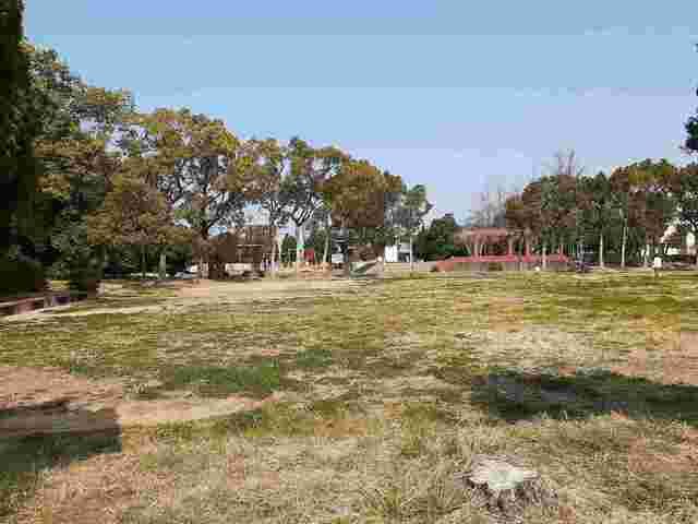 近くの松の木公園まで400m(徒歩5分)