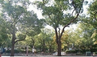 近くの高松中央公園さんまで2,400m(徒歩30分)