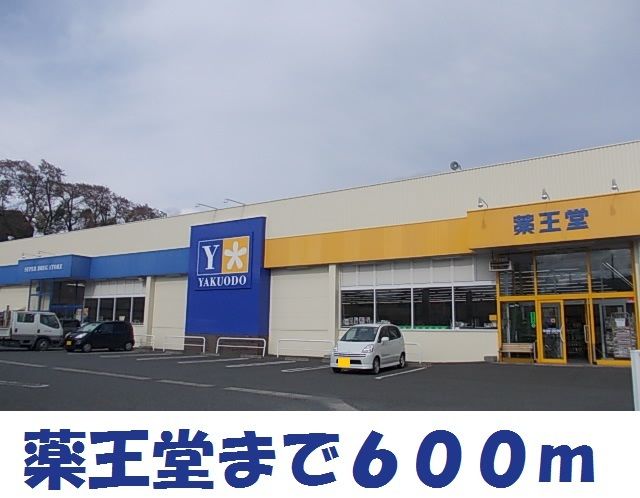 近くの薬王堂大船渡店まで600m（徒歩8分）