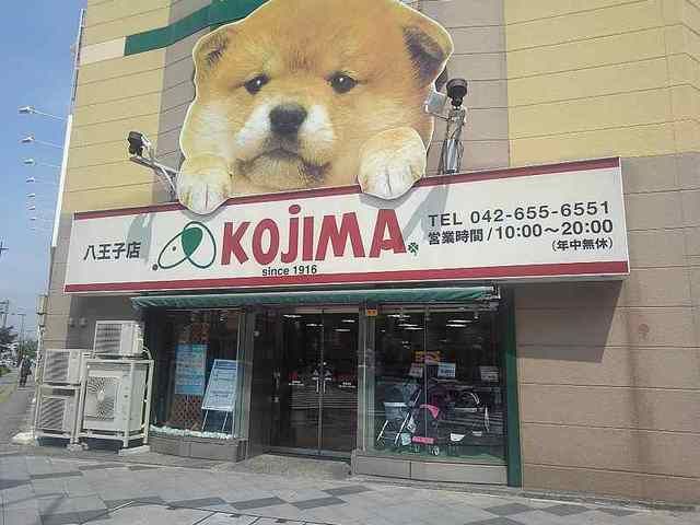 近くのペットのKOJIMAまで400m（徒歩5分）