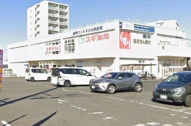 近くのスギ薬局まで300m(徒歩4分)
