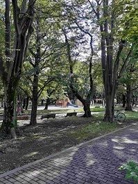 近くの城北公園まで379m(徒歩5分)