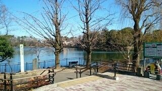 近くの洗足池公園まで300m(徒歩4分)