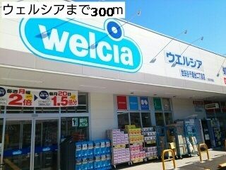 近くのウェルシアまで300m（徒歩4分）