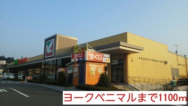 近くのスーパーまで1,100m（徒歩14分）