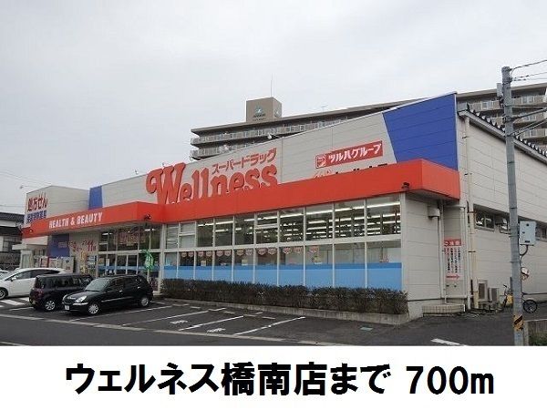 近くのウェルネス橋南店まで700m(徒歩9分)