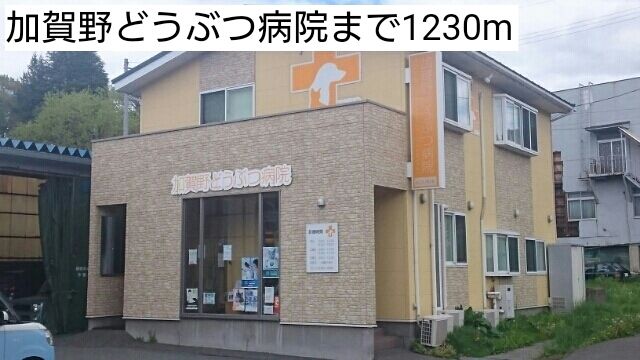 近くの加賀野どうぶつ病院まで1,230m(徒歩16分)