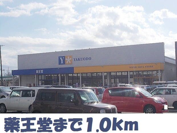 近くの薬王堂まで1,000m（徒歩13分）