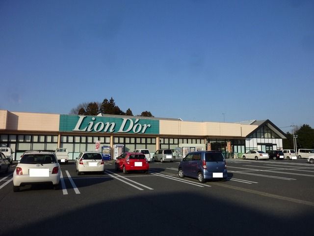 近くのリオン・ドール高根沢店まで1,500m(徒歩19分)