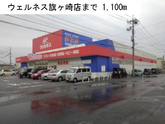 近くのウェルネス旗ヶ崎店まで1,100m（徒歩14分）