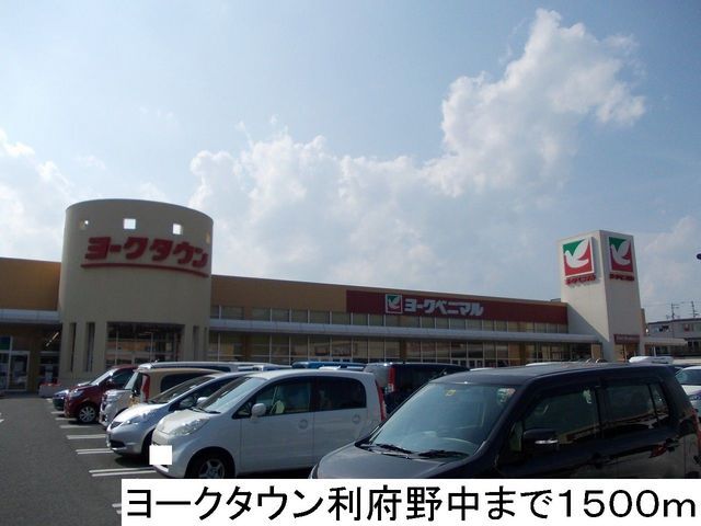 近くのヨークタウン利府野中店まで1,500m（徒歩19分）