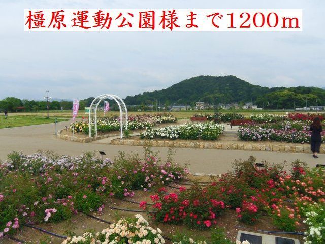 近くの橿原運動公園様まで1,200m(徒歩15分)