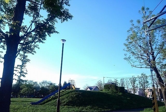 近くの新川ひばりがはら公園まで700m（徒歩9分）