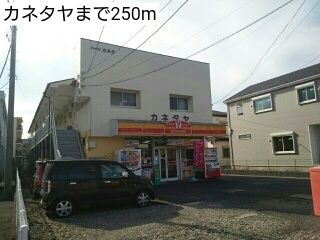 近くのカネタヤまで250m(徒歩4分)