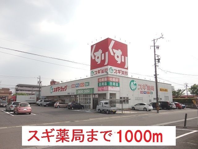 近くのスギ薬局　穂積店まで1,000m（徒歩13分）