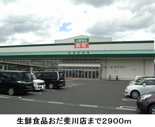 近くの生鮮食品おだ斐川店まで2,900m（徒歩37分）