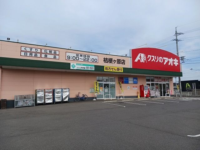近くのカインズ  塩尻店まで1,300m（徒歩17分）