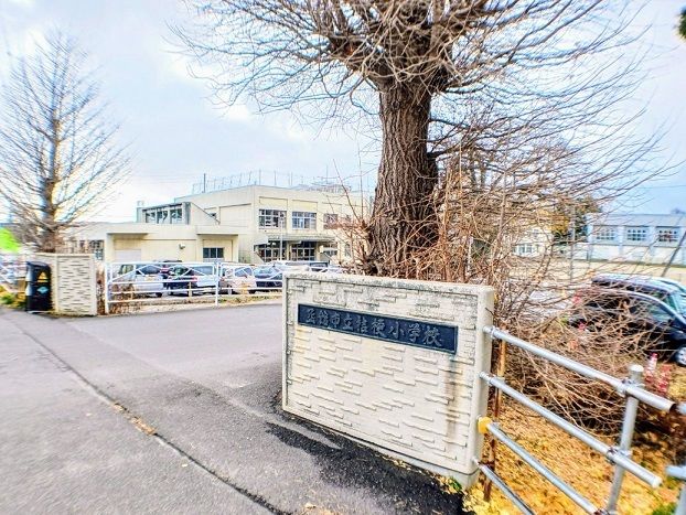 近くの函館市立桔梗小学校まで450m（徒歩6分）