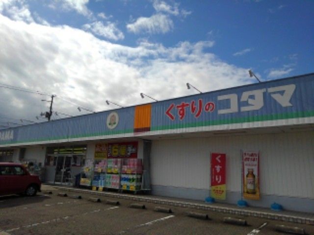 近くのクスリのコダマ三条四日町店まで800m（徒歩10分）