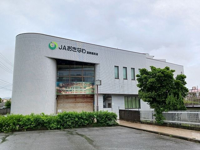 近くのJA沖縄宜野座支店まで1,000m(徒歩13分)