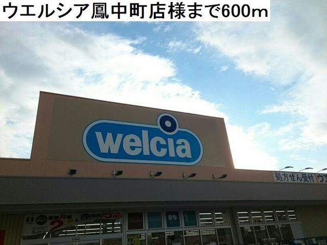 近くのウエルシア鳳中町店様まで600m（徒歩8分）
