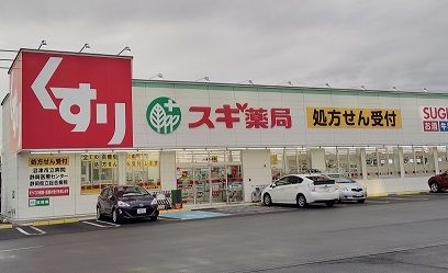 近くのドラッグストアまで750m（徒歩10分）