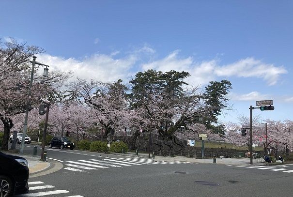 近くの公園まで140m（徒歩2分）