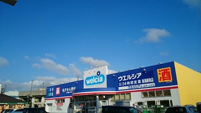 近くのウエルシア新潟新和店まで650m(徒歩9分)