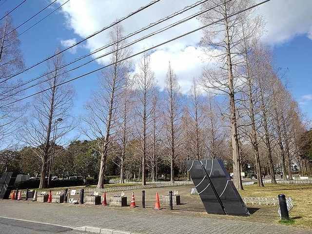 近くのそうか公園まで650m(徒歩9分)