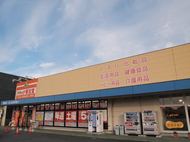 近くのドラッグ新生堂まで250m（徒歩4分）
