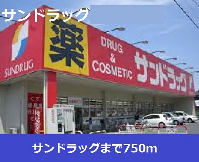 近くのドラッグストアまで750m（徒歩10分）