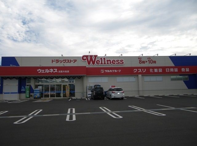 近くのウェルネス出雲大社店まで900m(徒歩12分)