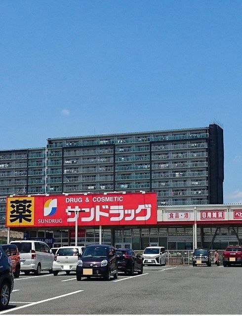 近くのサンドラッグまで1,000m（徒歩13分）
