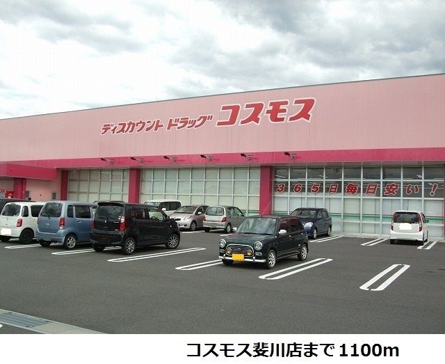 近くのコスモス斐川店まで1,100m（徒歩14分）