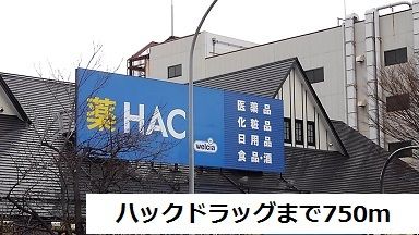近くのハックドラッグまで750m(徒歩10分)