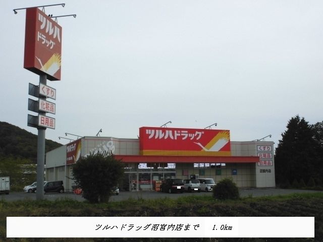 近くのツルハドラッグ沼宮内店まで1,000m（徒歩13分）
