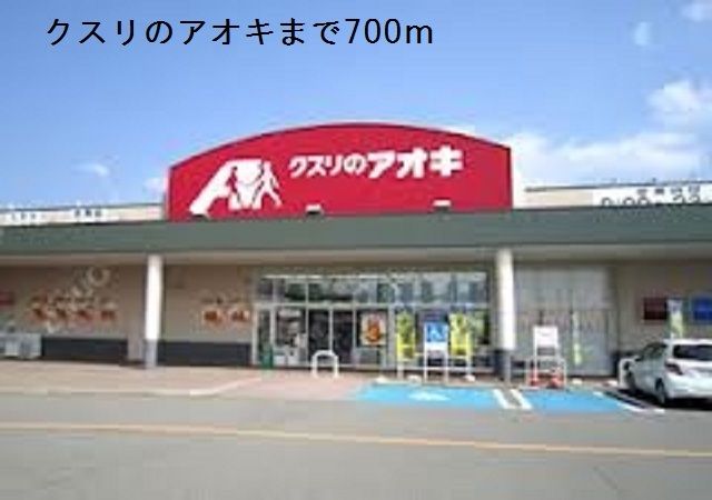 近くのクスリのアオキまで700m(徒歩9分)