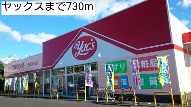 近くのヤックスまで730m（徒歩10分）