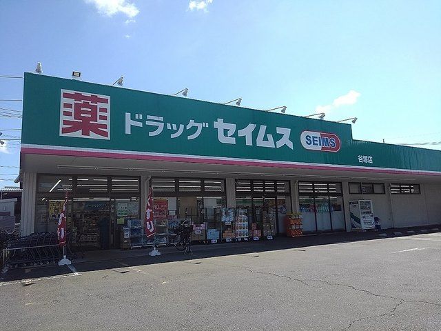 近くのセイムス谷塚店まで800m（徒歩10分）