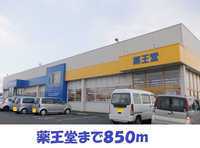 近くの薬王堂江刺店まで850m（徒歩11分）